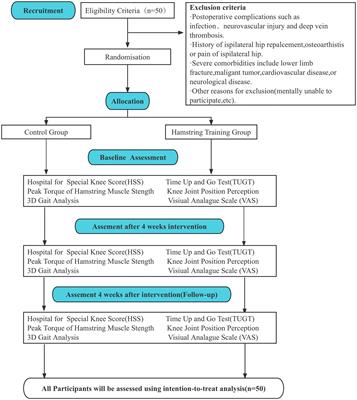 Study protocol for a randomized controlled trial: evaluating the effect of isokinetic eccentric training of the hamstring on knee function and walking function after total knee arthroplasty